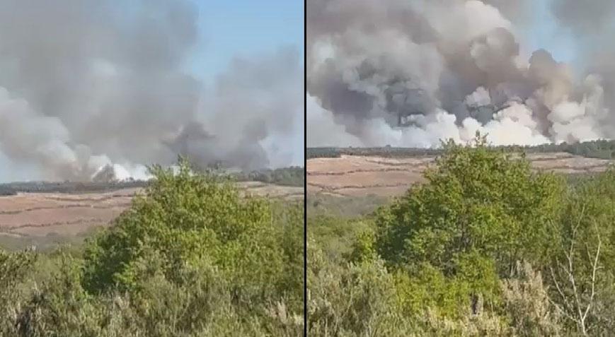 Beykoz'daki orman yangınında korkutan gelişme! Alevler yeniden yükseldi... Valilikten açıkalama